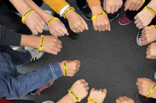 Oakridge school life