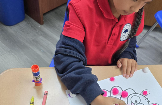 Oakridge school life